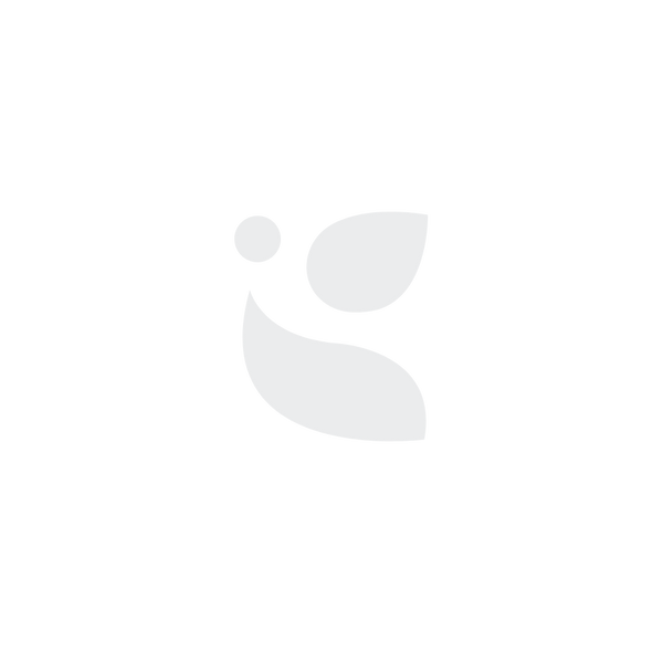 PALOMA logo